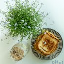 길주로425번길 이미지