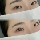 와이오엔 | 마곡나루역속눈썹펌 추천 마곡 와이오브로우 솔직후기