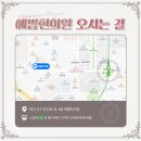 예쁨현의원