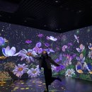 필농장 | [양평 여행] 가볼 만한 곳! 두물머리, 소나기마을, 용문사, 딸기 체험 농장