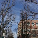 이준용 기념비 | (서울 여행) 인사동 ~ 운현궁 나들이. (2015년12월6일)