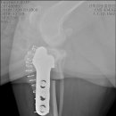 코끼리 동물병원 이미지