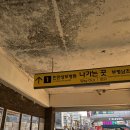 편한메디칼프라자 | [부평역 필라테스] 윤필라테스&amp;바레 부평남부역점 후기