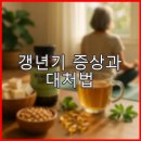 갱년기 증상과 대처법