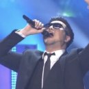 브라운도트충주
