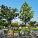 수목화 송정마을 오토캠핑장 이미지