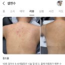 셀앤수 이미지