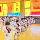 액티브경희태권도장 이미지