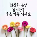 성공 이미지