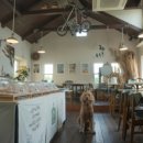 오즈카페 이미지