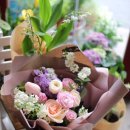 투게더국제결혼 이미지