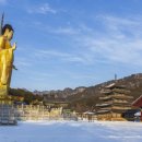 속리산 네이버블로그