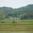 다은농장 이미지