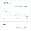 바디팩토리 이미지