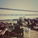 염소야놀자 이미지