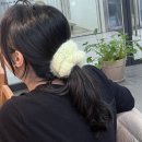 세종메드 이미지