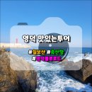 칠보꼬마김밥 | 영덕으로 떠나는 맛있는 투어 : 칠보산, 축산항, 대게 그리고 영덕블루로드