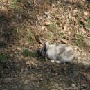 광릉5일장 이미지