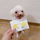 범서약국 이미지