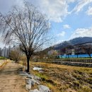 선기로2-2 이미지