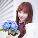 컬러라이즈