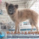 성내천로 이미지