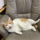 에이엔티환경 이미지