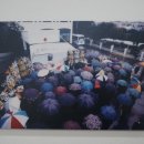 한라산국립공원산악박물관 | &lt;한라산의 바람이 되어&gt; 한라산국립공원 산악박물관 기획전
