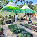 농산물 판매장 이미지