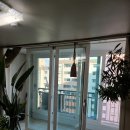 국제백양 이미지