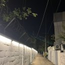 달성음악회 | 화원 숲속 음악회 후기(구 대구교도소)