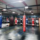 레드짐 복싱 이미지