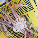 비응남로 이미지