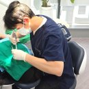 신정치과의원 | 신정역 사랑니 치과, 아랫사랑니 발치 시 꼭 알아야 하는 주의사항 2가지