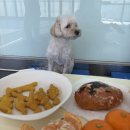 도그밥상 이미지