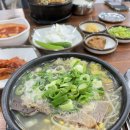 제주일출쑥빵보리빵