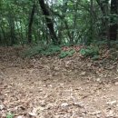 saury007 애견호텔 | 인천 남동구 수산동 애견호텔 Saury007 애견호텔 비용 시간 위치