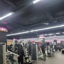 향촌하와이 이미지