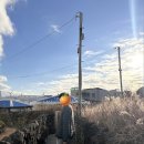 느릅낭집 이미지