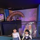 블루밍씨
