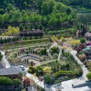 금곡만정길 이미지