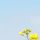 루아산부인과의원 이미지