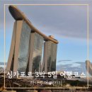 세지5일시장 | 싱가포르 3박 5일 여행 코스 패키지 하나투어 후기