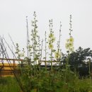 마송농장 이미지