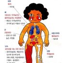 대전 원자력연구원 사고 현황 이미지