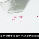 시온에스케이 네이버블로그