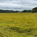 유곡회관 이미지