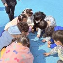 지성공원 이미지