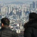 강남-135 이미지