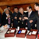 2015 광명동굴 대한민국 와인 페스티벌 뉴시스